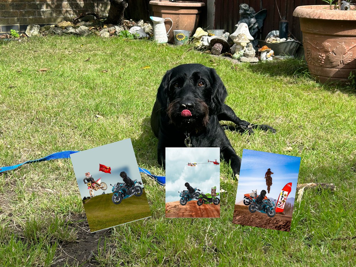 🐶Cola & Michelle👩🏻Dotty🐶🌈 tweet media