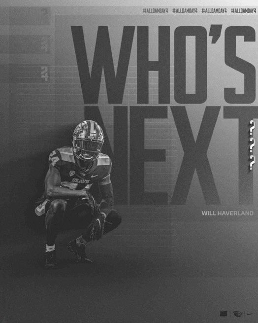 Will Haverland tweet media