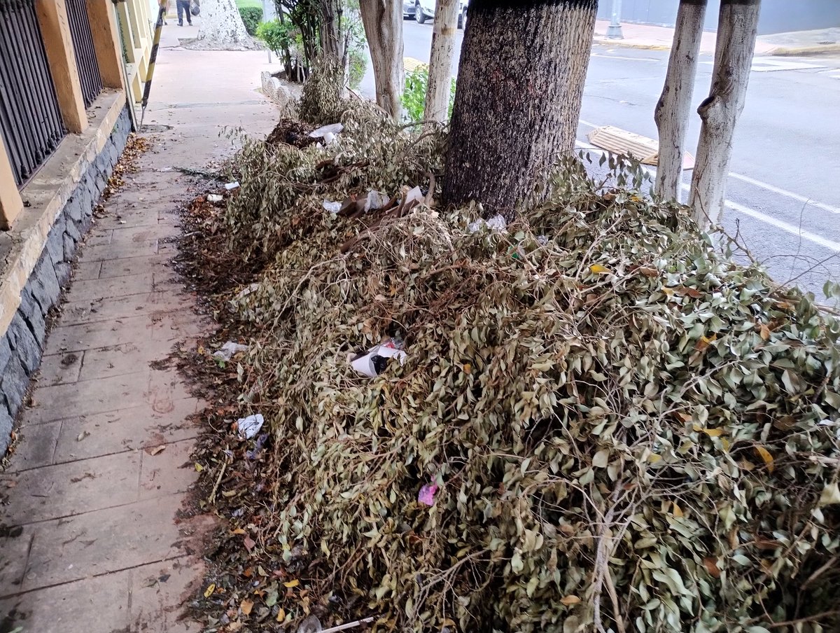 Jnner's tweet photo. ¿Hasta cuándo tendremos esta basura en plena Av Azcapotzalco @MargaretSaldana @AzcapotzalcoMx ?
¡Qué asco! 
Y no veo a ningún otro vecino #ColoniaDelRecreo quejándose, les encanta vivir en la porquería... 🤬 https://t.co/kFcaaH97CW