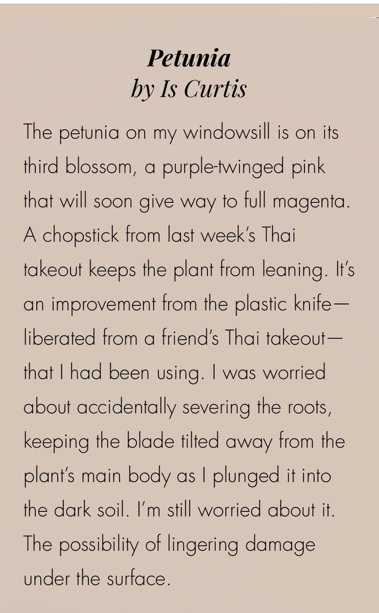 Isabelle “Is” Curtis tweet media