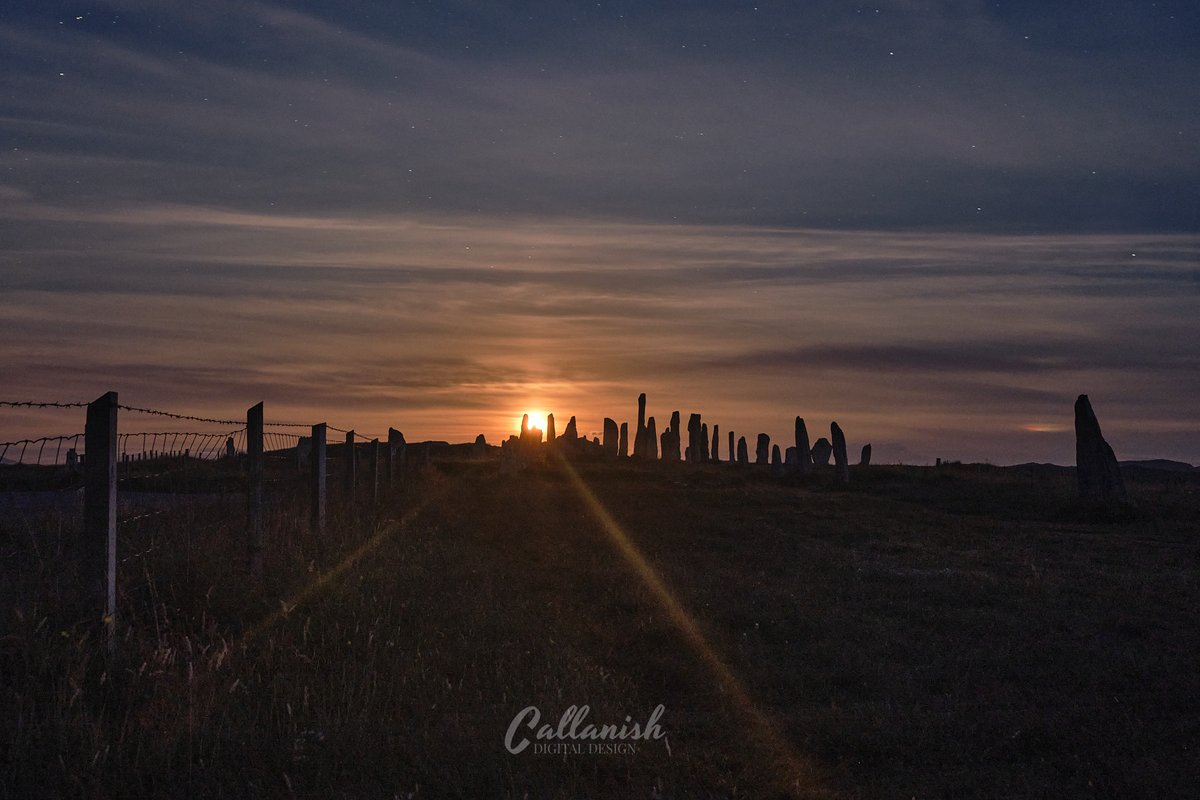 CallanishDigitalDesign tweet media