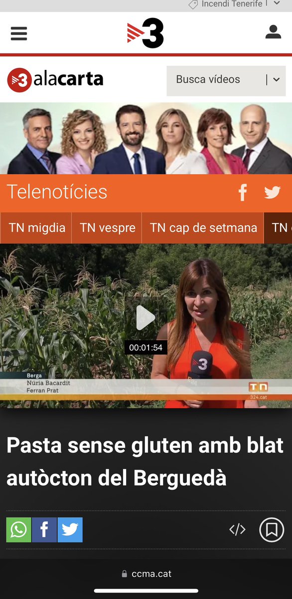 Telenotícies comarques - Pasta sense gluten amb blat de moro autòcton del Berguedà 
ccma.cat/tv3/alacarta/t…