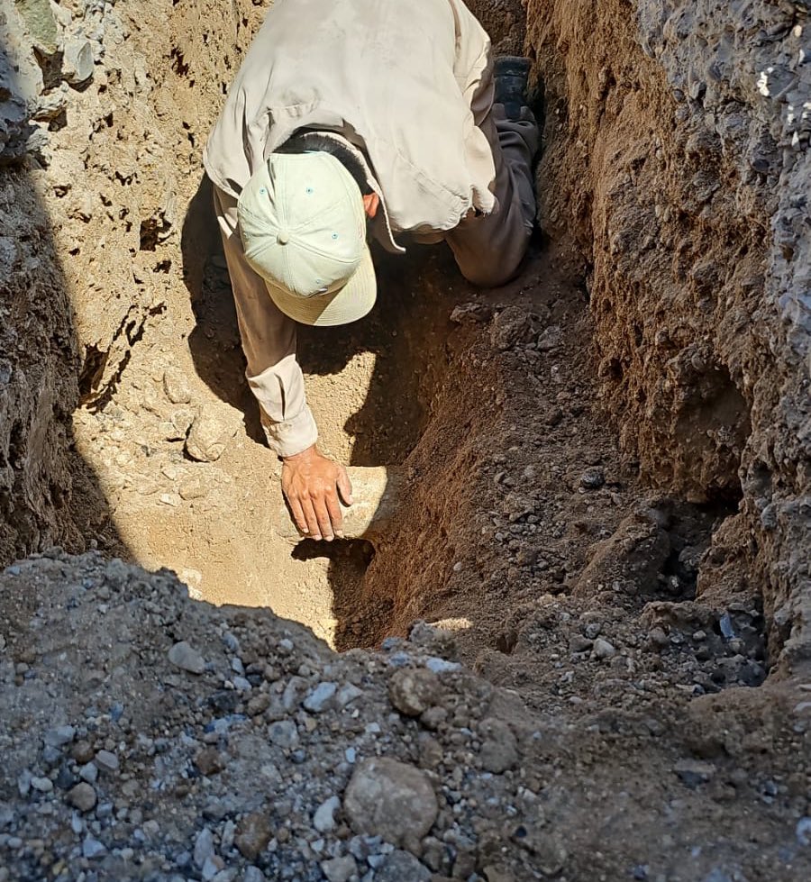 SIMAS PIEDRAS NEGRAS tweet media