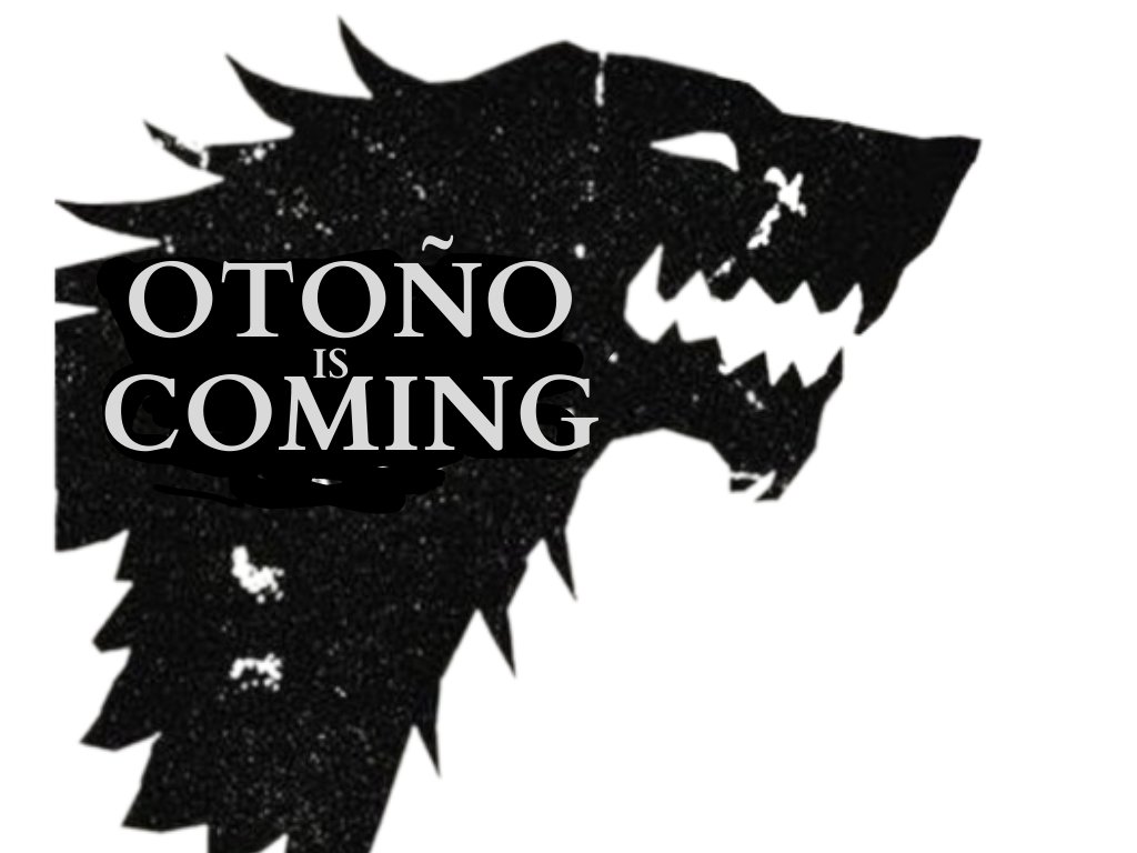 Comité Vacunas e Inmunizaciones-AEP tweet media