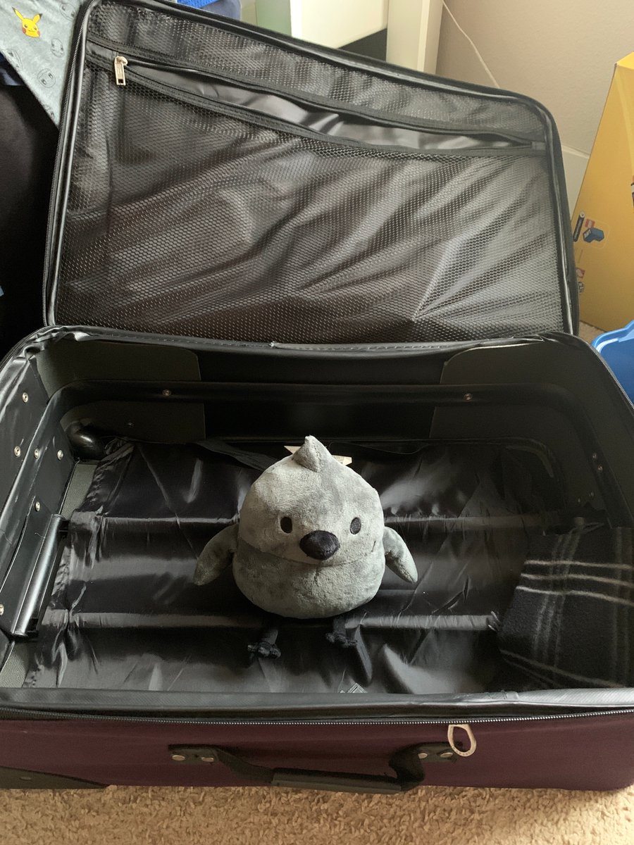ComfyChameleon's tweet photo. packing only the essentials
#pcrowtwt #pcrowplush https://t.co/ZGZB3B0sHy