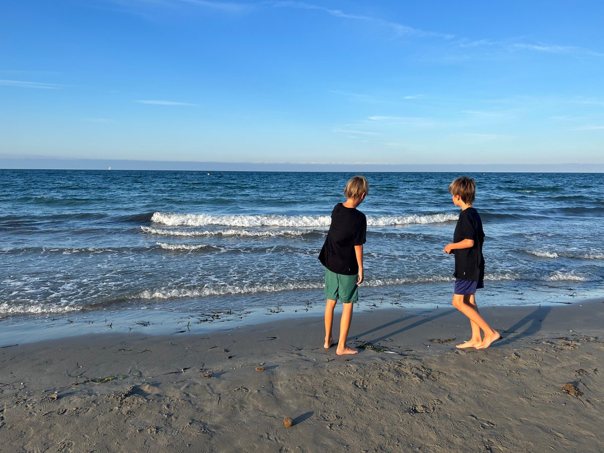 Mac Martine - wildfront.co tweet media