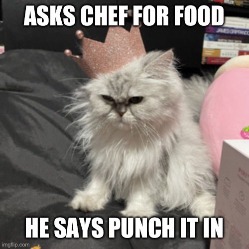 ImMonsterized's tweet photo. #princessproblems https://t.co/arfii6XSKG