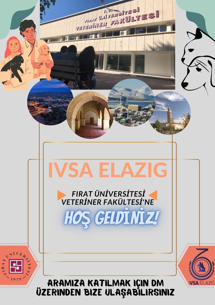 elazigivsa's tweet photo. YKS 2023 Tercih Sonuçları Açıklandı. .
Elazığ'ımıza, Fakültemize Hoş Geldiniz! 🙏💙
#yks2023
#veteriner
#veterinerfakültesi
#fıratüniversitesi
#fıratüniversitesiveterinerfakültesi https://t.co/SYsjvleeBg