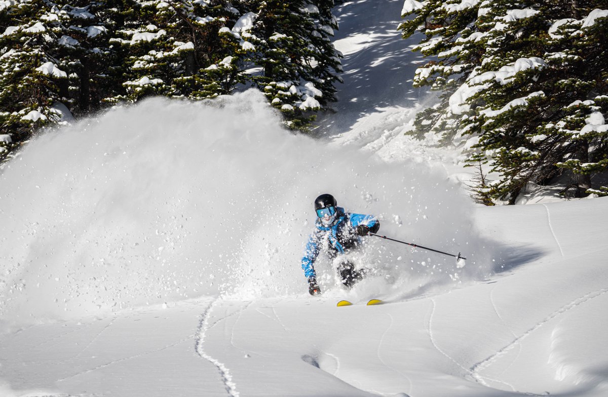 KickingHorseMtn's tweet photo. We are looking for a Resort Photographer for the upcoming winter season!

👍Are you passionate about skiing/snowboarding?
👍 Do you have a background in photography?

Submit your application today!
https://t.co/0K5DTD1ErI https://t.co/Qw3FDIb53g