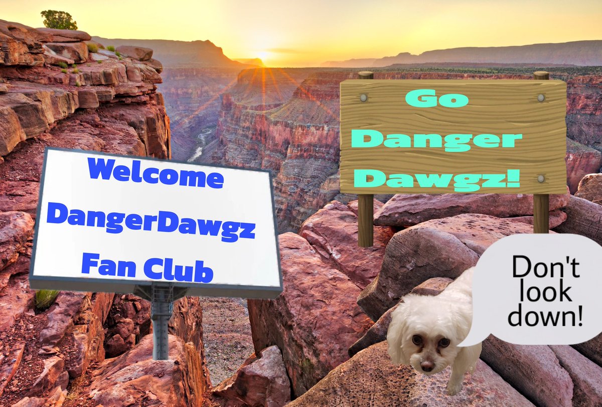 DangerDawgzFanClub tweet media