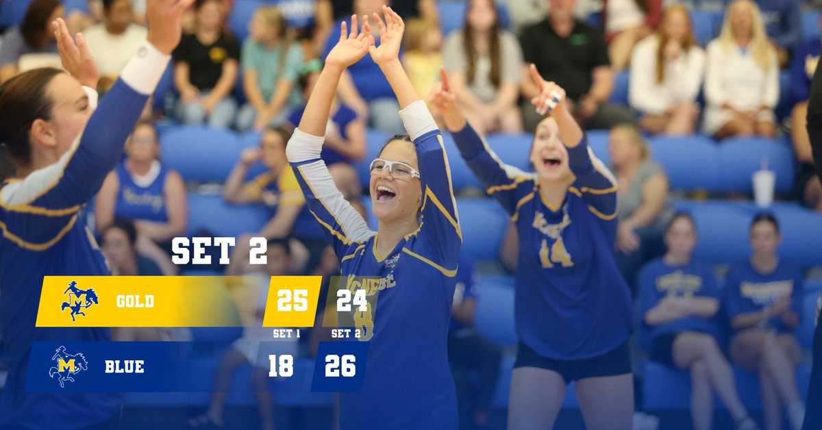 McNeese Volleyball tweet media