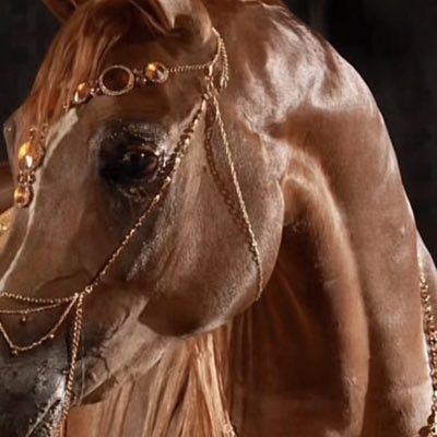 cv_6565's tweet photo. #صورة_جديدة_للملف_الشخصي https://t.co/jHYsBrIJ7b