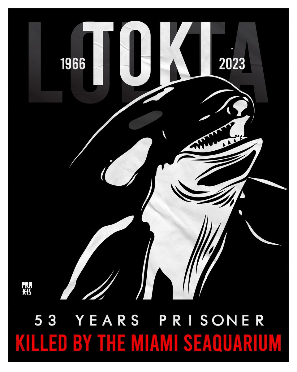 RIP Toki
53 years prisoner of the #MiamiSeaquarium