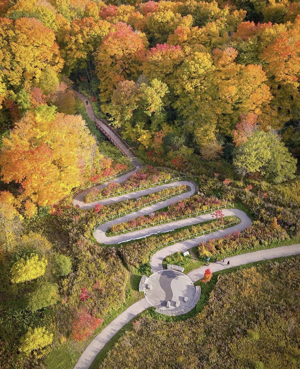 Ash O'Malley tweet media