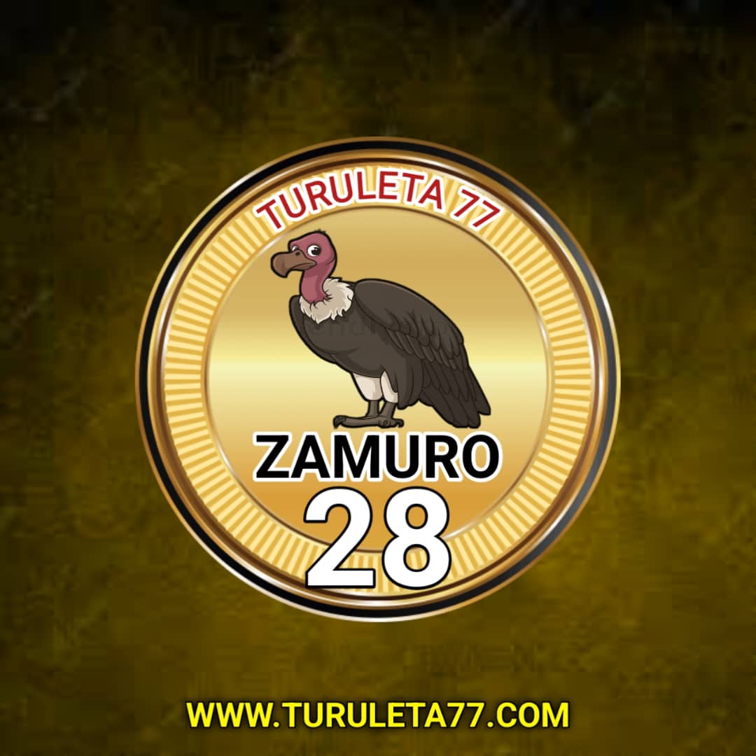 turuleta77's tweet photo. #Resultadosturuleta77 || 19/08/2023
🕓 03:00 PM || 28 ZAMURO

Nuestros  resultados en la web https://t.co/almE3pq3so https://t.co/UqShWeD53U