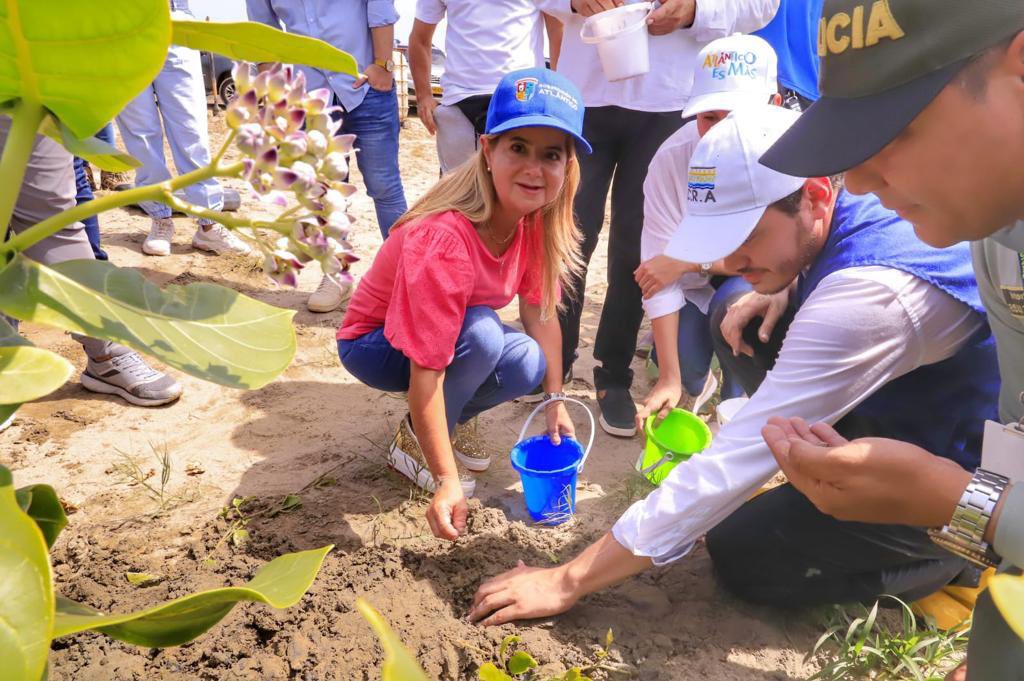 Gobatlantico's tweet photo. En el Atlántico estamos comprometidos con la sostenibilidad de nuestra zona costera, por eso seguimos #ATodaMarcha con nuestro proyecto de reforestación de manglares, creando una barrera natural que delimite el espacio alrededor de las obras del Centro de Deportes Náuticos. https://t.co/ixGGupCjCe