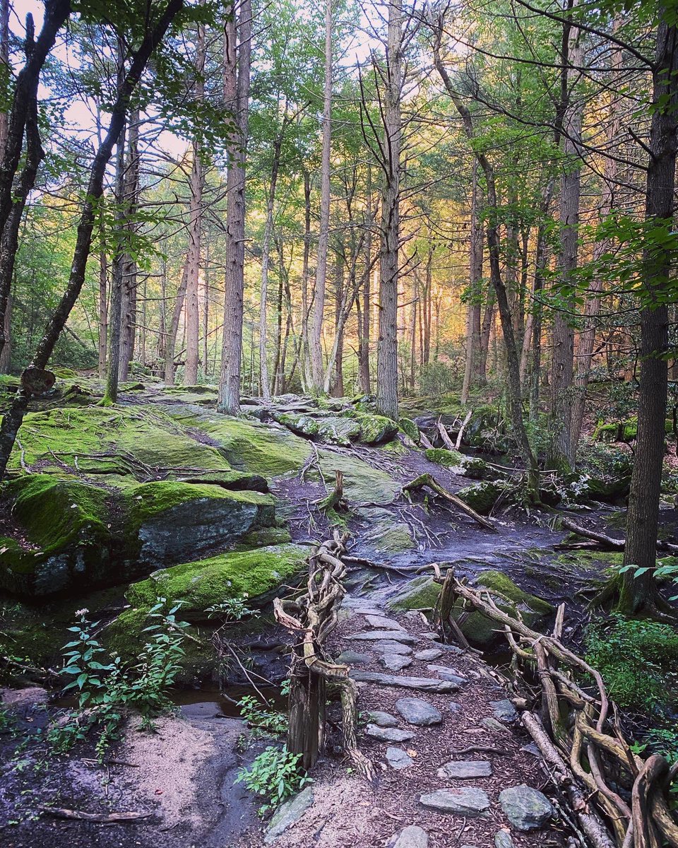 RickBColby's tweet photo. Hiking in Wolcott, Connecticut, where I grew up. I’m back for a high school reunion. #WolcottCT https://t.co/qdFrzDQjb0