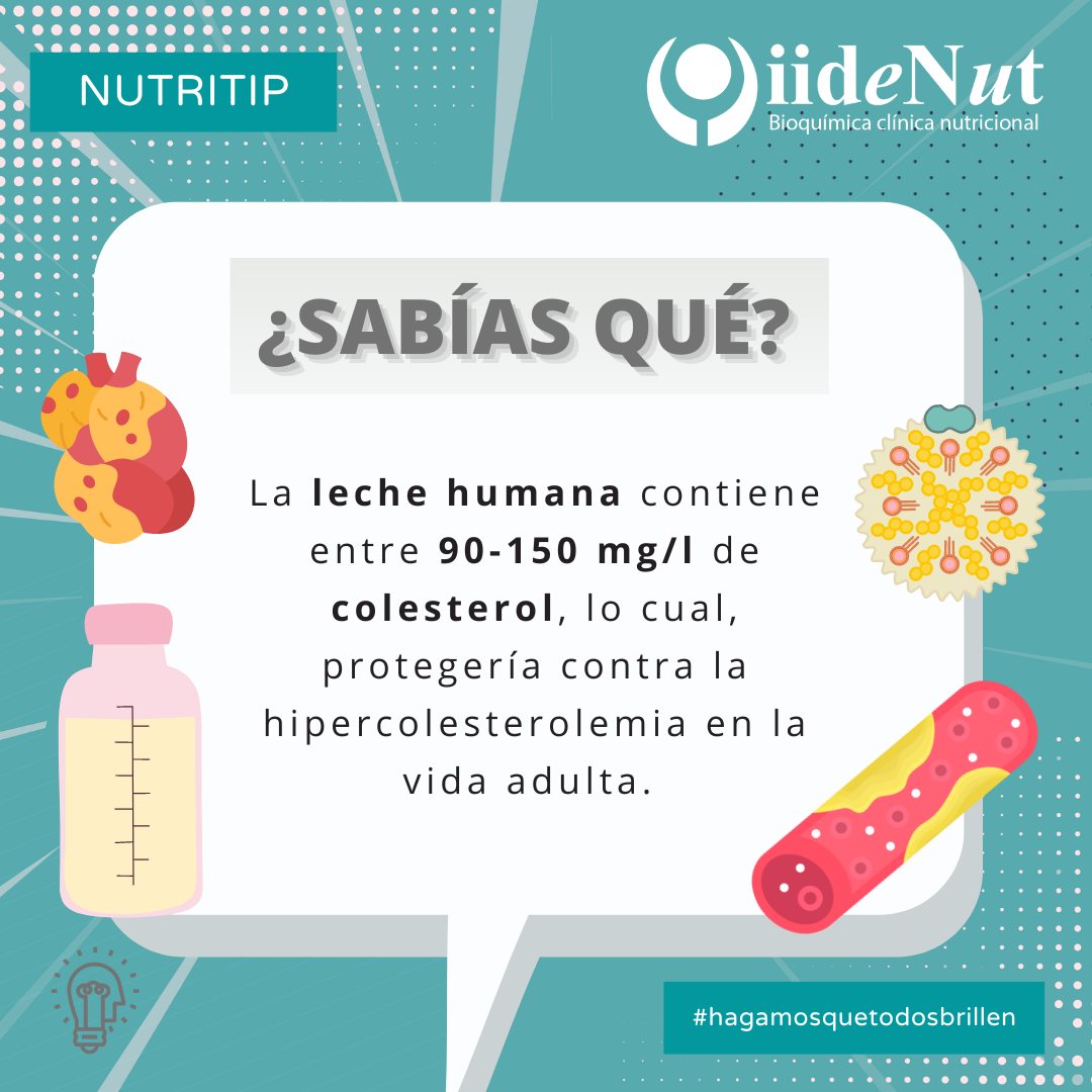 IIDENUT's tweet photo. #NutriTip
𝗟𝗮 𝗹𝗲𝗰𝗵𝗲 𝗵𝘂𝗺𝗮𝗻𝗮 𝗽𝗼𝘀𝗲𝗲 𝘂𝗻𝗮 𝗮𝗹𝘁𝗮 𝗰𝗼𝗻𝗰𝗲𝗻𝘁𝗿𝗮𝗰𝗶ó𝗻 𝗱𝗲 𝗰𝗼𝗹𝗲𝘀𝘁𝗲𝗿𝗼𝗹. Éste puede variar de 90-150 mg/l. Esta cantidad es incluso superior a la media reportada en la leche de vaca que fluctúa alrededor de 120 mg/l según la tabla de https://t.co/Tch4nWiVo0