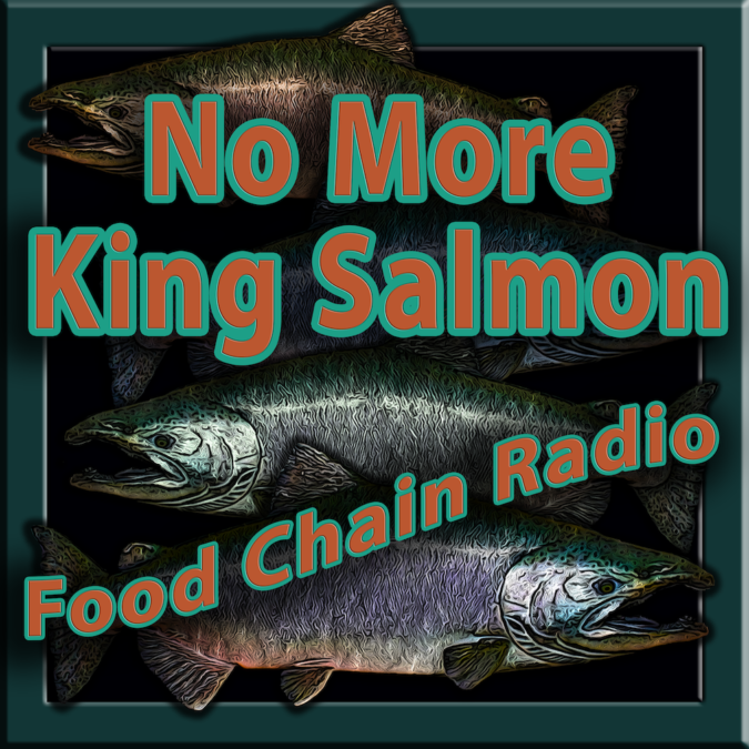 Food Chain Radio:  No More King Salmon? #Salmon
metrofarm.com/michael-olson/…