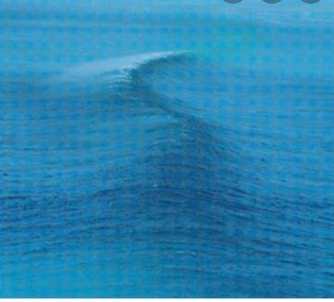 StevyK73 /// tweet media