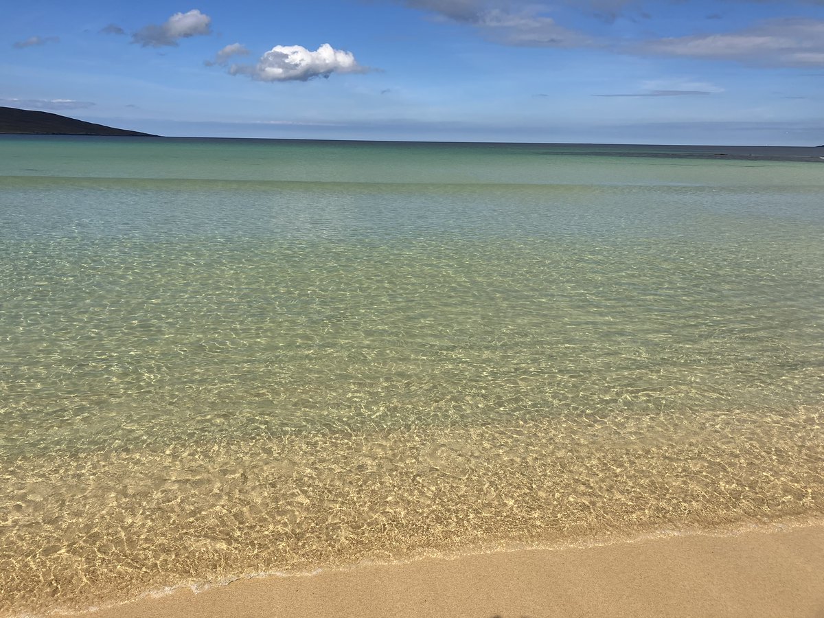 Fiona Andrews tweet media