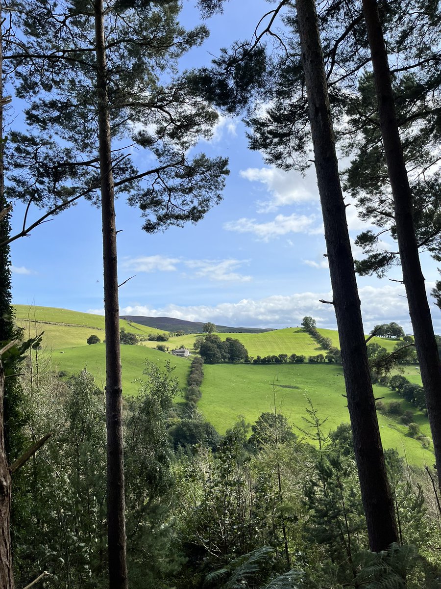 ionarees's tweet photo. #TreeClub #vale #walking #WelshCountryside π΄σ §σ ’σ ·σ ¬σ ³σ Ώ https://t.co/JmSOLOQEpI