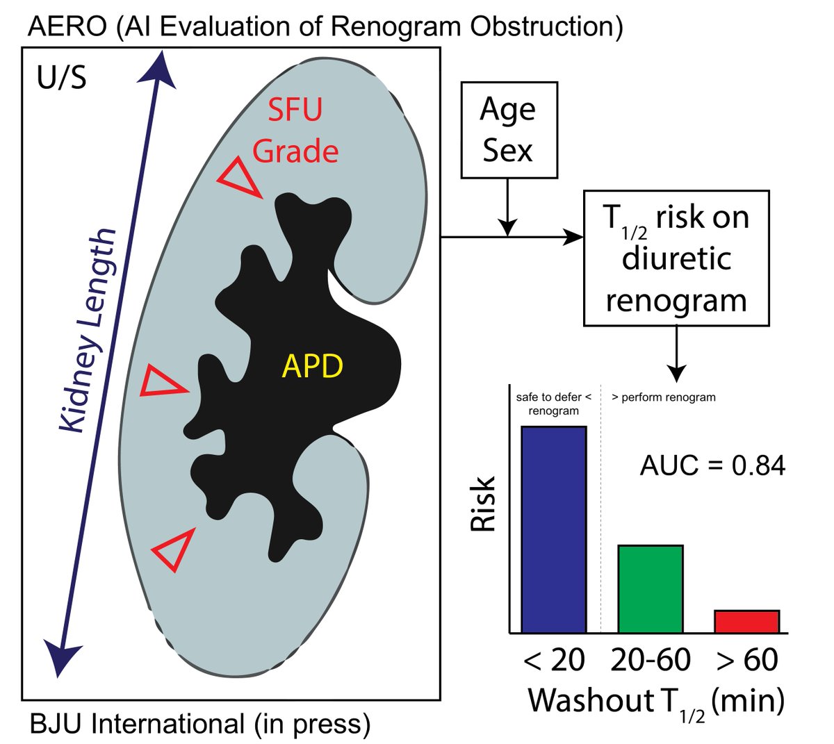 Adree Khondker (@adreekhondker) on Twitter photo We developed AERO: an AI model to evaluate the risk of UPJ obstruction from routinely reported values on ultrasound. Out now in <a href="/BJUIjournal/">BJU International</a>!
A short 🧵 on what we did below. 1/
<a href="/jethro_kwong/">Jethro Kwong</a> <a href="/MandyRickardNP/">Mandy</a> <a href="/ArmandoJLorenzo/">Armando J. Lorenzo</a> <a href="/UofTUrology/">Univ of Toronto Urology</a>
Article Link: doi.org/10.1111/bju.16… We developed AERO: an AI model to evaluate the risk of UPJ obstruction from routinely reported values on ultrasound. Out now in <a href="/BJUIjournal/">BJU International</a>!
A short 🧵 on what we did below. 1/
<a href="/jethro_kwong/">Jethro Kwong</a> <a href="/MandyRickardNP/">Mandy</a> <a href="/ArmandoJLorenzo/">Armando J. Lorenzo</a> <a href="/UofTUrology/">Univ of Toronto Urology</a>
Article Link: doi.org/10.1111/bju.16…