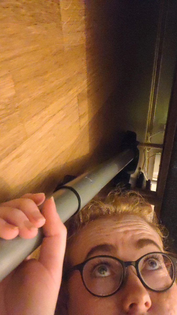 Istg vacuuming under the bed is a whole entire quest line of its own
