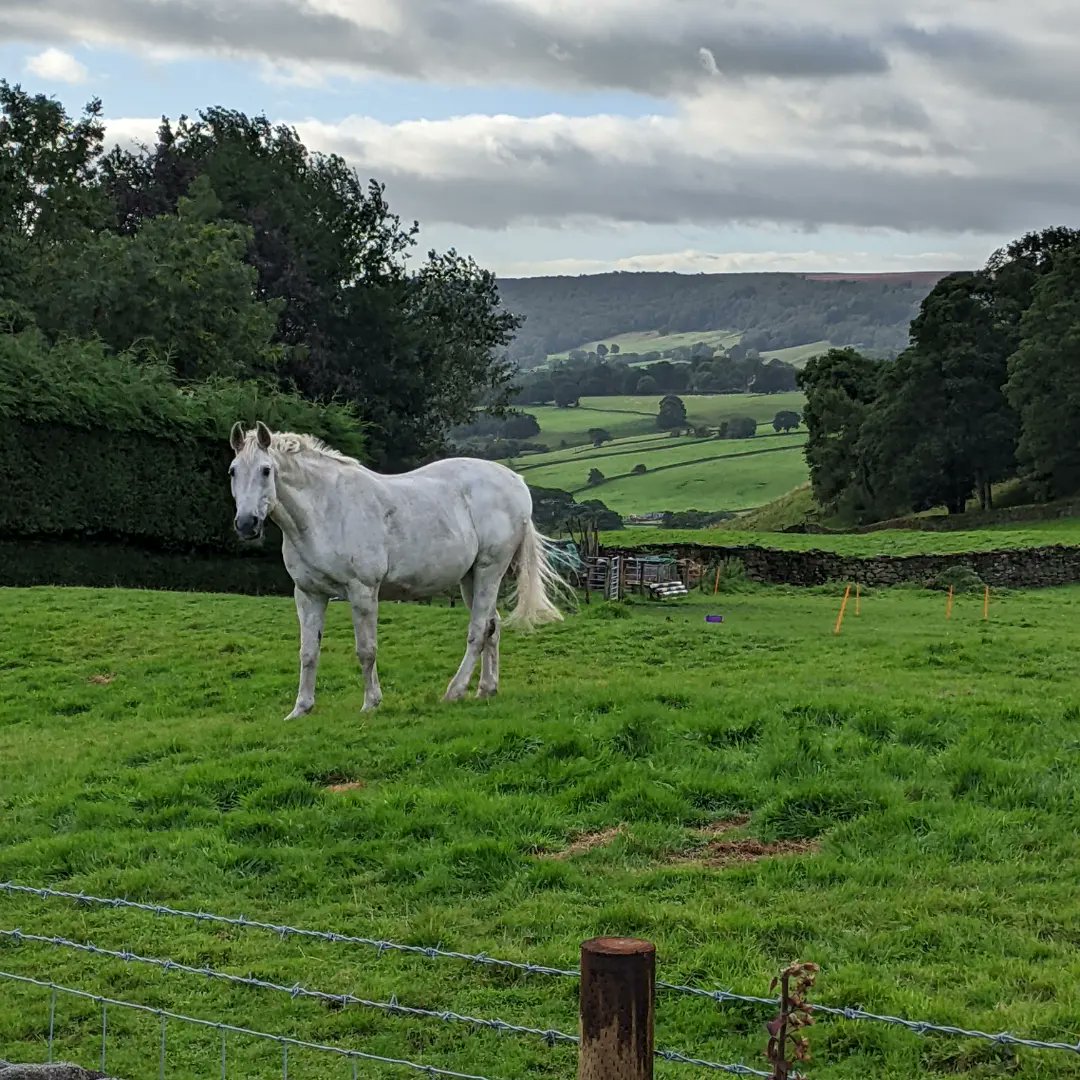 sillyhatrunner's tweet photo. my final recce run of @punkpantherevents #nidderdale way #ultramarathon. I wore a union flag jester's hat to support @TeamGB at @IAAFWCH
I'm running in #silly #hats for @bloodcancer_uk  
https://t.co/d5N84x2Hfe
#charity  #fundraising #donate https://t.co/iclrvcAatP