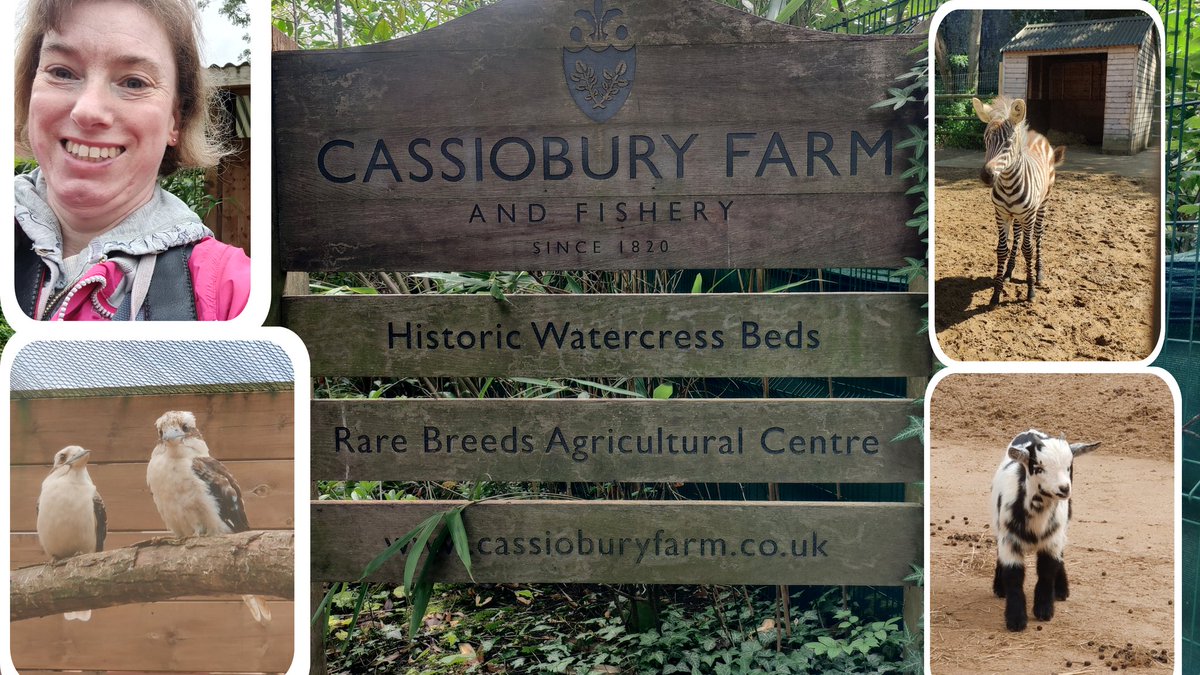 My Video to Cassiobury park farm and Fishery is now up on my YouTube channel!:

Please don't forget to like, comment, subscriber and share...thank you
youtu.be/mqT443ofvNE