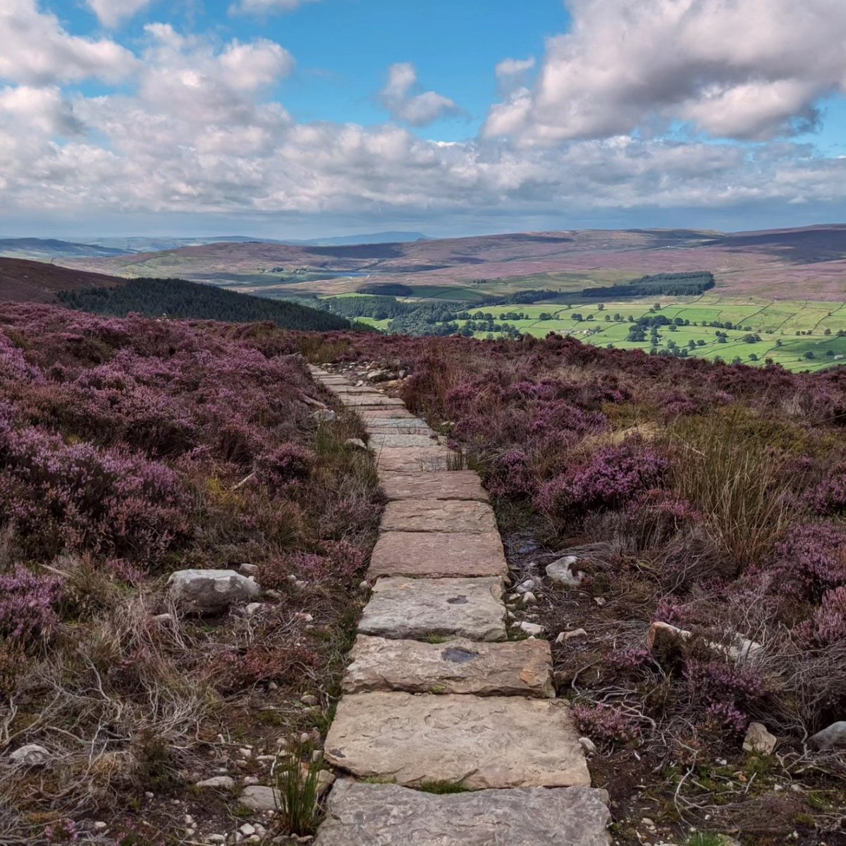 helen_varey's tweet photo. Last time I was up here I was carried down in a silver bag singing 'Brown girl in the ring'
Did up and down on my legs today!
#simonsseat #WeekendVibes #beautifulviews https://t.co/iSSF8owJFz