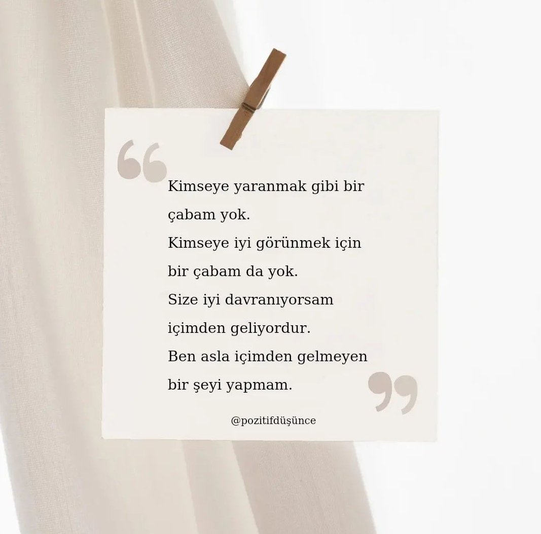 Paşa tweet media