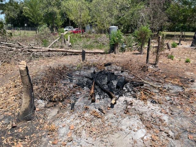 Fort Bend County Judge tweet media