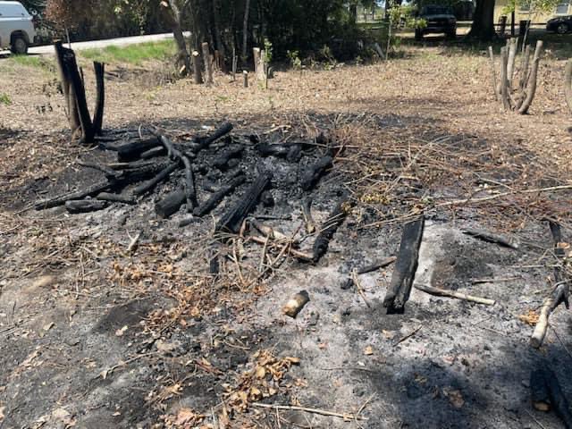 Fort Bend County Judge tweet media