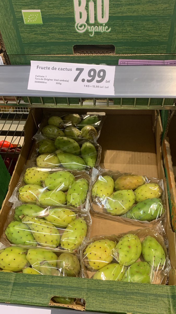 youtube reels'de denk gelip merak ettiğim için kaktüs meyvesi aldım marketten. Tadı bok gibiymiş. Merak edenler boşuna parasını çöpe atmasın.