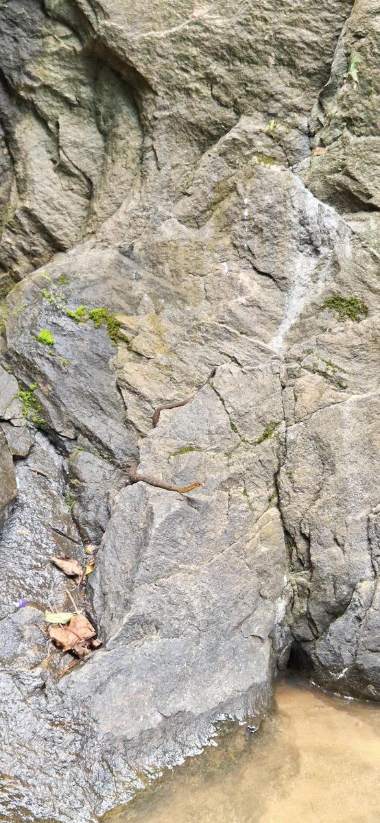 kumar_news27's tweet photo. IQ, if you can find something in less than a second. 
Comment below https://t.co/cdCeYgr9rr