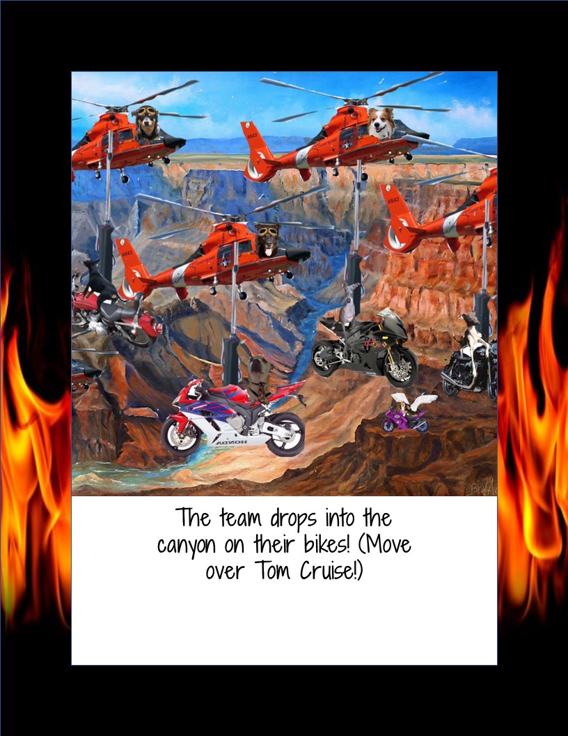 Danger Dawgz tweet media