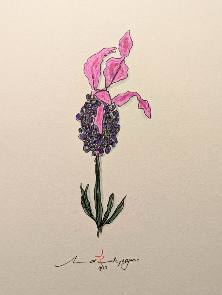 RevHappiness's tweet photo. Lavender
Felt pen on A5 paper
HMU if you'd like it. $15AUD inc postage
#ContinuousLineDrawing
#SingleLineDrawing #SingleLineSketch #LineDrawing #Staedtler #StaedtlerPens #MakeSomething #MakeArt #CreateArt #CreateSomething #TheDrumAndPage #ArtForSale https://t.co/K5kNxNsGdP