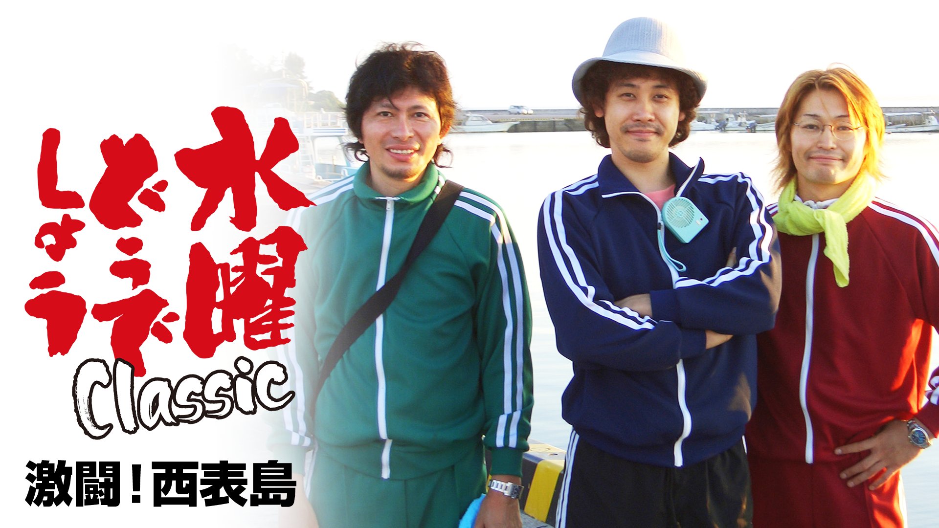 水曜どうでしょう　激闘!西表島 水曜どうでしょう第8弾「激闘!西表島」DVD | オフィスキュー