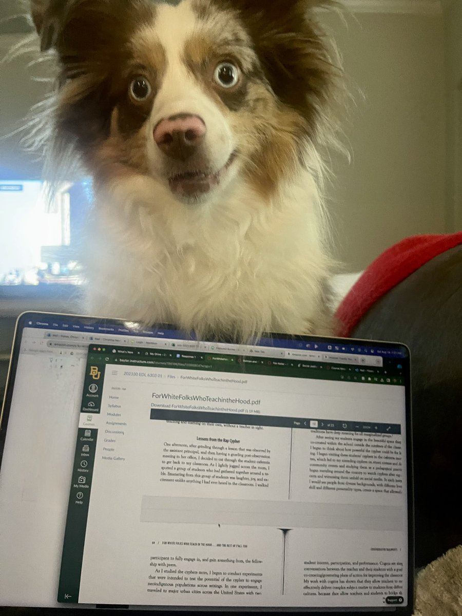 Christina Tye tweet media