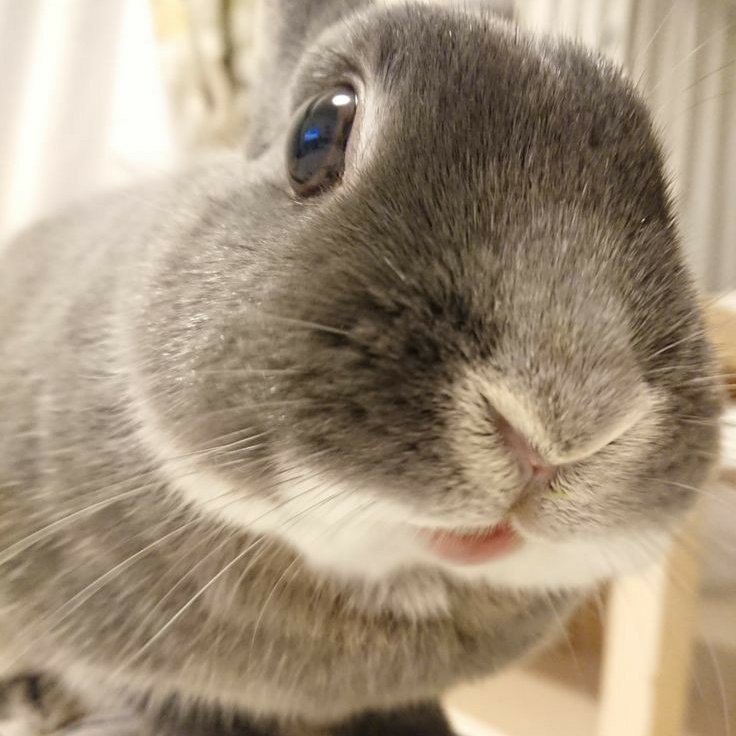 junhanasbunnies's tweet photo. https://t.co/jVc4BTpCHb