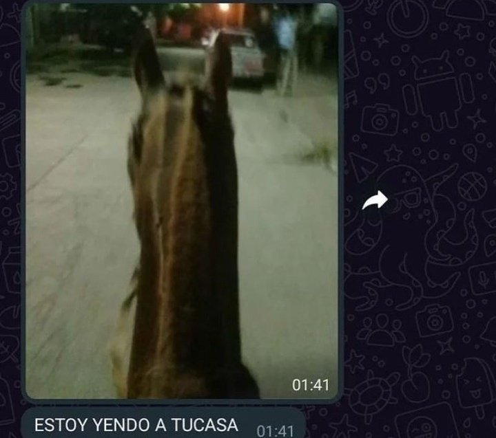 jeroveintidos's tweet photo. *Me pido unas papas y una milanesa a caballo*

El hdrmp del de pedidos ya: https://t.co/xPK4n7yeOz