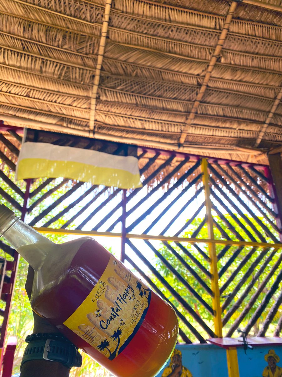 Harvested by the Martinez family 🤝 #beekeepers #organic