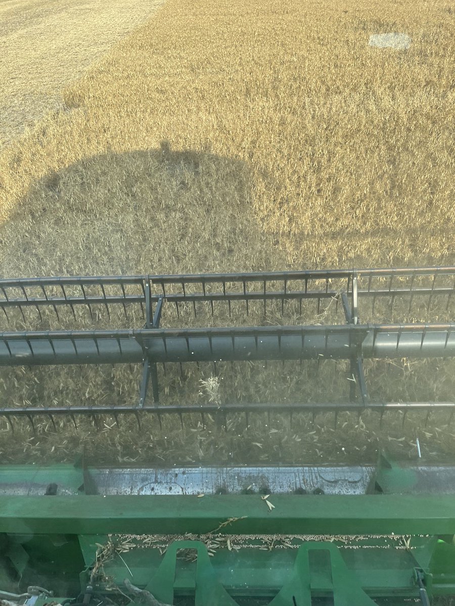 #Harvest 2023 started