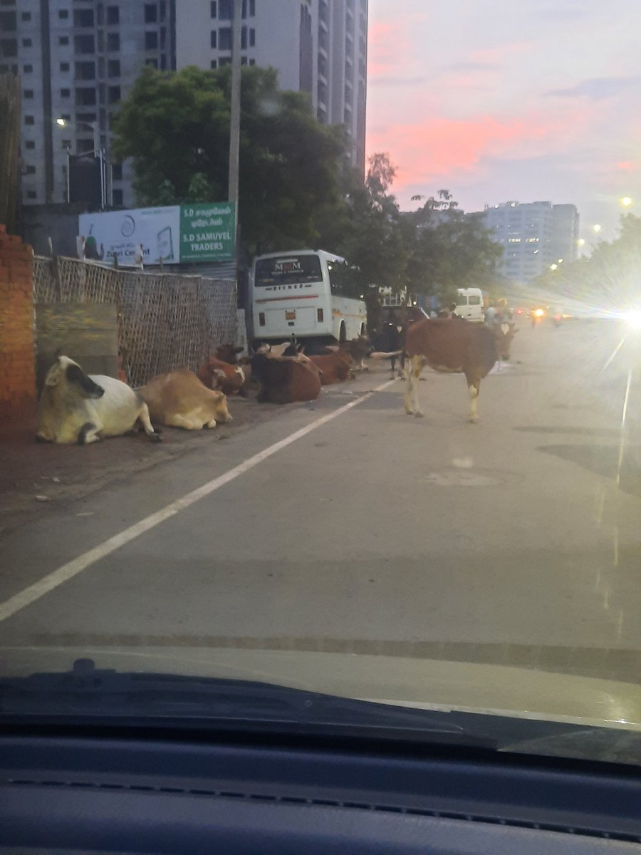 cryptovineeth's tweet photo. @chennaicorp @ChennaiTraffic @chennaipolice_ @tnpoliceoffl @CMOTamilnadu I don't see any action taken, https://t.co/dU583dN48E