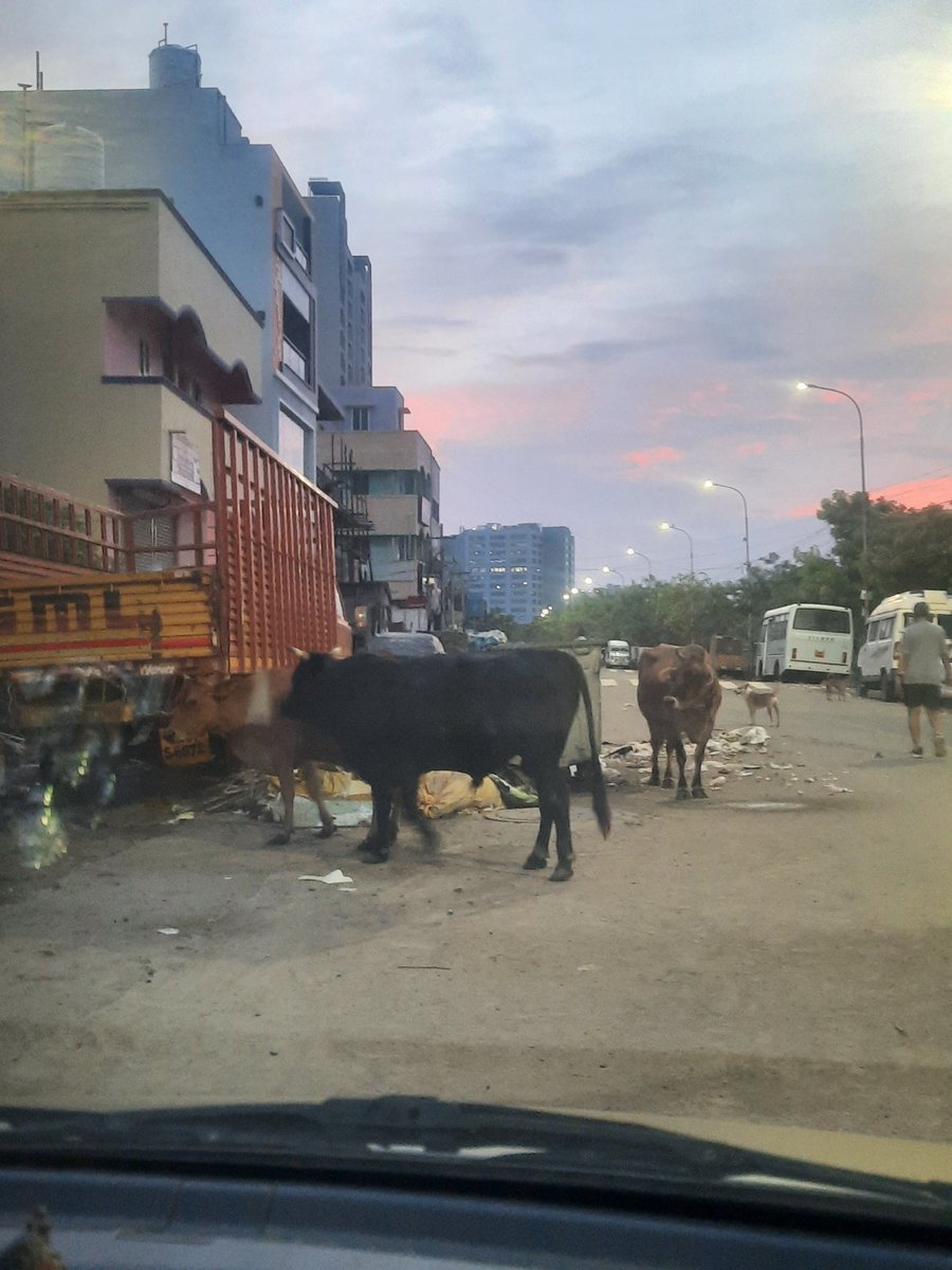 cryptovineeth's tweet photo. @chennaicorp @ChennaiTraffic @chennaipolice_ @tnpoliceoffl @CMOTamilnadu I don't see any action taken, https://t.co/dU583dN48E