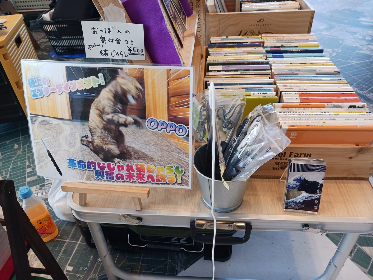 アカミチフルホンイチ、始まります。
準備中の店主の💦も引いてきました。
会場は涼しく、きっとお気に入りが見つかりますよ～👍️是非是非‼️

#アカミチフルホンイチ