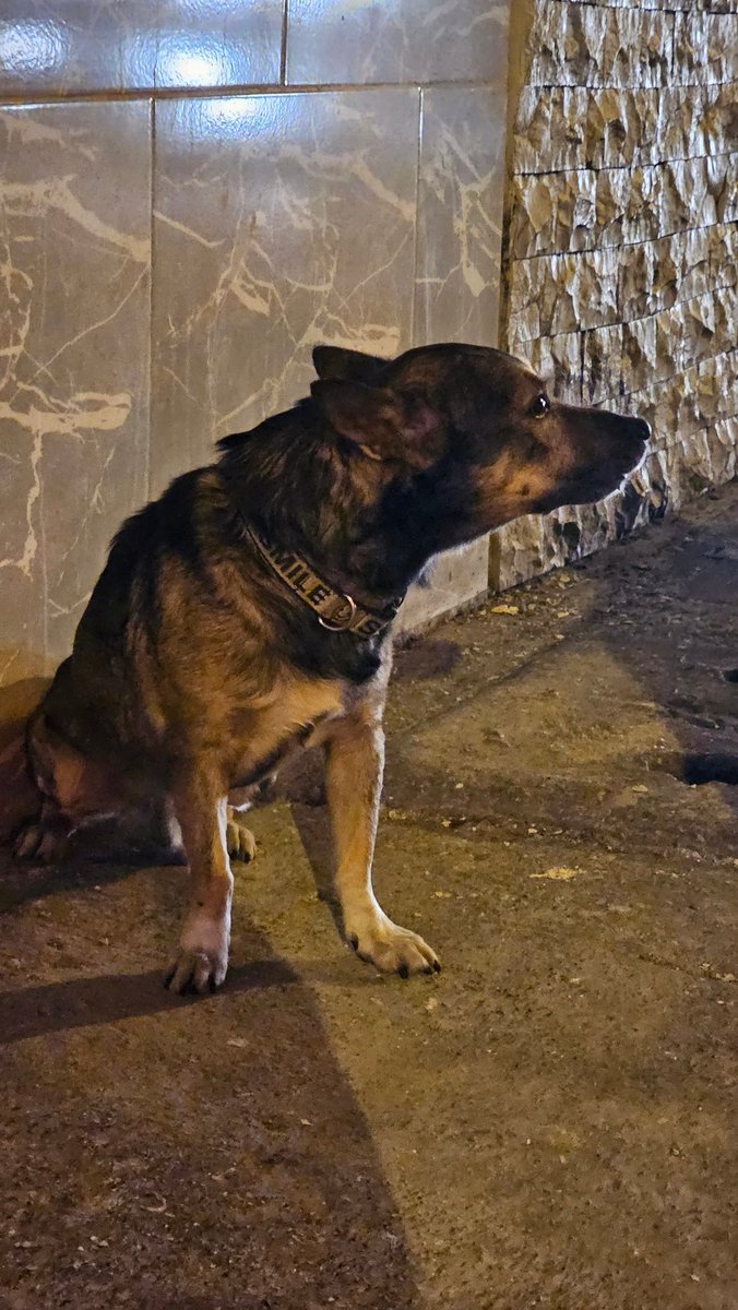 ANDREA RENDÓN tweet media