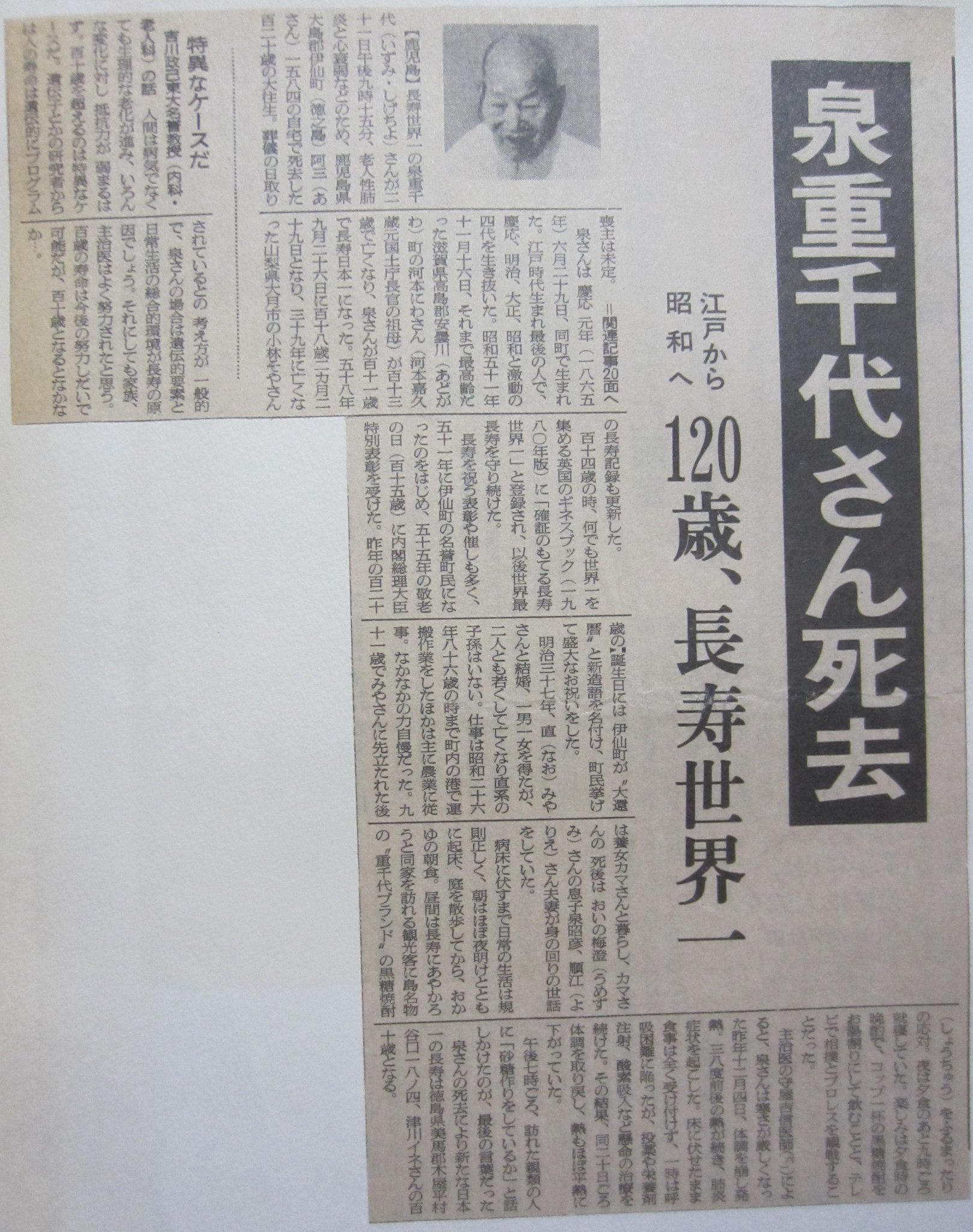 Japanese Print 