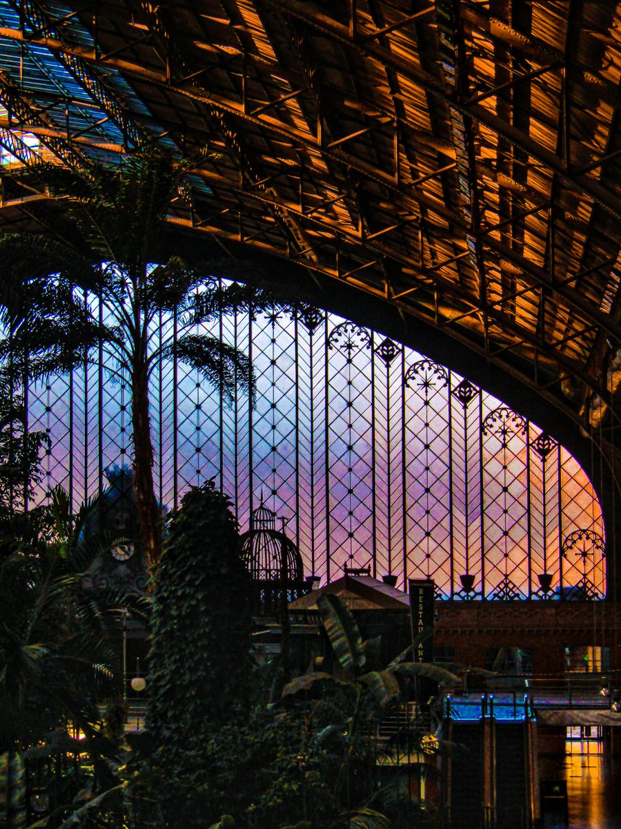 Algunas veces la estación de #Atocha puede parecer una fantasía.
#Madrid
#TiempoDeEstaciones